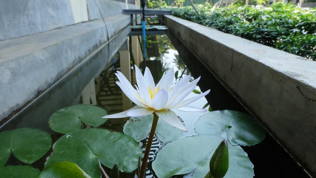 Lullaby Boutique Resort Thap Sakae المظهر الخارجي الصورة